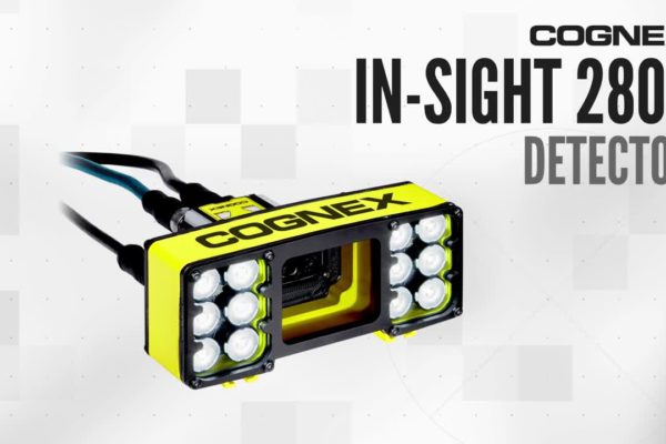 Detector In-Sight 2800 2